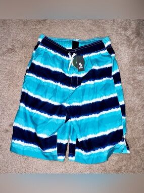 Blue Teal Striped Boy’s Swim Trunks